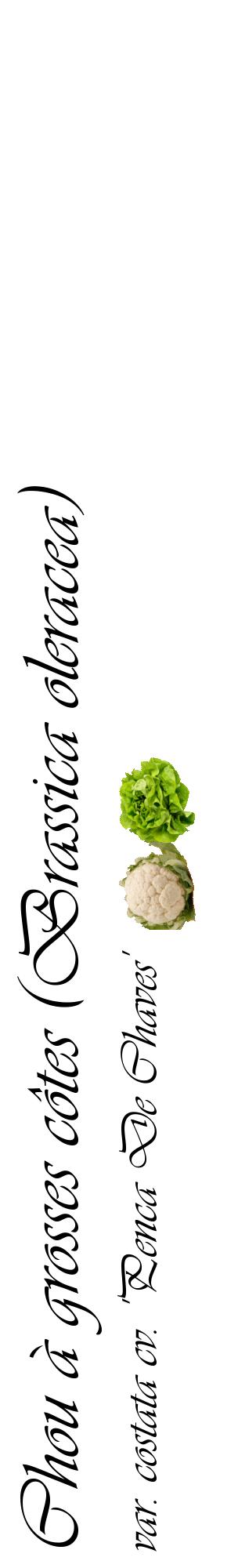 Étiquette de : Brassica oleracea var. costata cv. 'Penca De Chaves' - format c - style noire60_basiqueviv avec comestibilité simplifiée