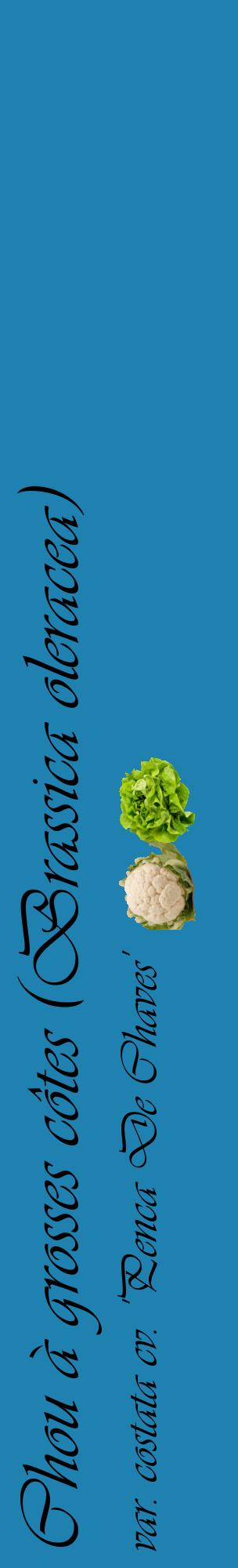 Étiquette de : Brassica oleracea var. costata cv. 'Penca De Chaves' - format c - style noire6_basiqueviv avec comestibilité simplifiée