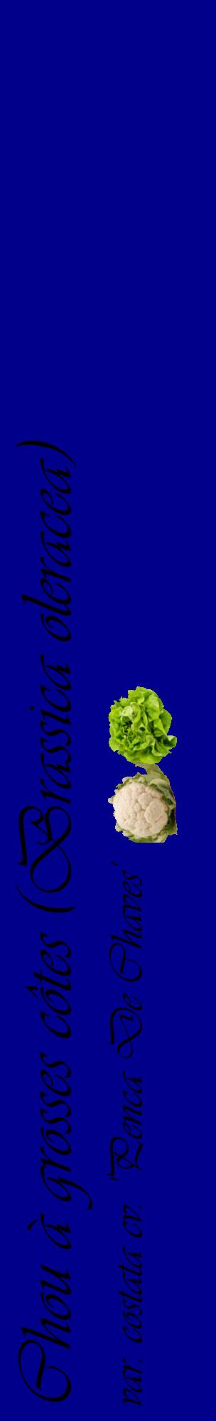 Étiquette de : Brassica oleracea var. costata cv. 'Penca De Chaves' - format c - style noire7_basiqueviv avec comestibilité simplifiée