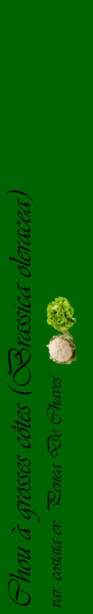 Étiquette de : Brassica oleracea var. costata cv. 'Penca De Chaves' - format c - style noire8_basiqueviv avec comestibilité simplifiée