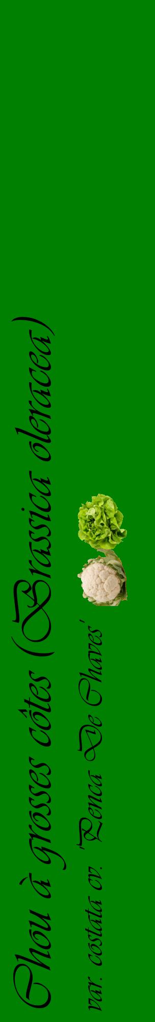 Étiquette de : Brassica oleracea var. costata cv. 'Penca De Chaves' - format c - style noire9_basiqueviv avec comestibilité simplifiée