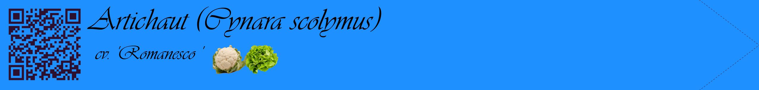 Étiquette de : Cynara scolymus cv. 'Romanesco ' - format c - style noire3simple_basique_basiqueviv avec qrcode et comestibilité simplifiée