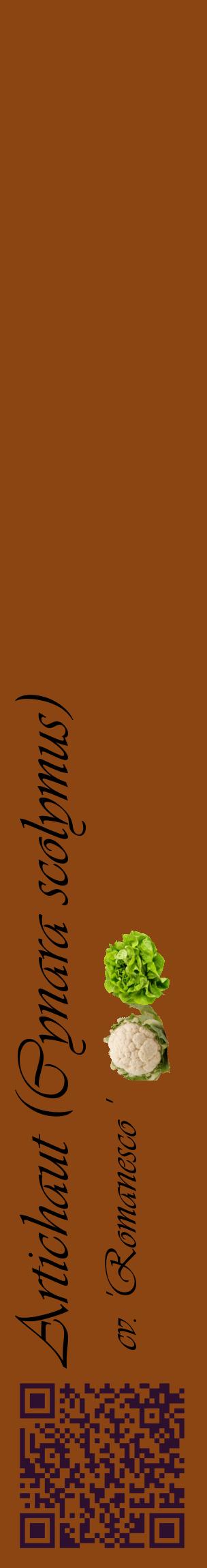Étiquette de : Cynara scolymus cv. 'Romanesco ' - format c - style noire30_basiqueviv avec qrcode et comestibilité simplifiée