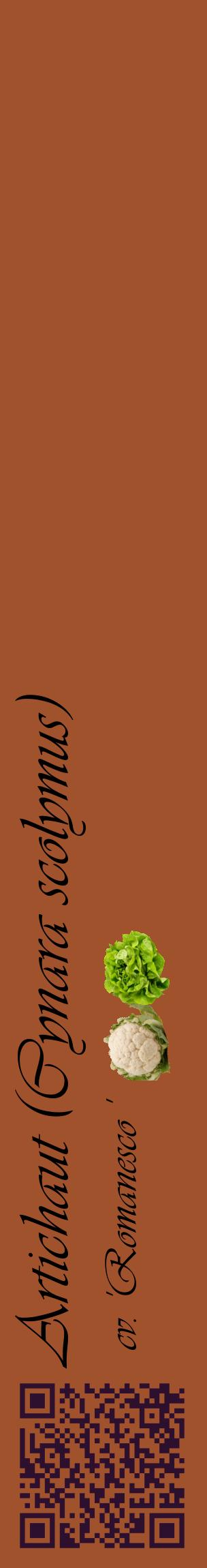 Étiquette de : Cynara scolymus cv. 'Romanesco ' - format c - style noire32_basiqueviv avec qrcode et comestibilité simplifiée