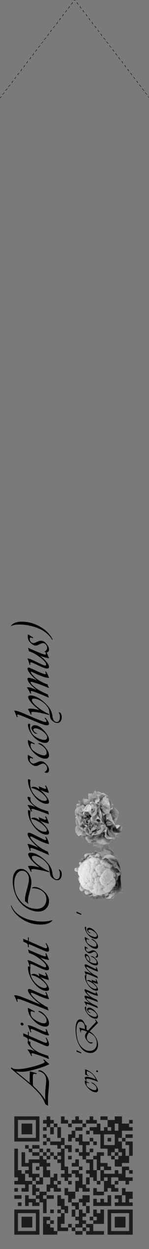 Étiquette de : Cynara scolymus cv. 'Romanesco ' - format c - style noire3simple_basique_basiqueviv avec qrcode et comestibilité simplifiée - position verticale