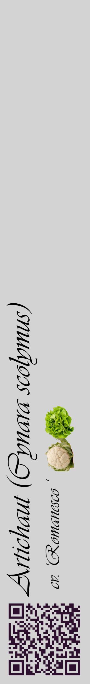 Étiquette de : Cynara scolymus cv. 'Romanesco ' - format c - style noire56_basiqueviv avec qrcode et comestibilité simplifiée