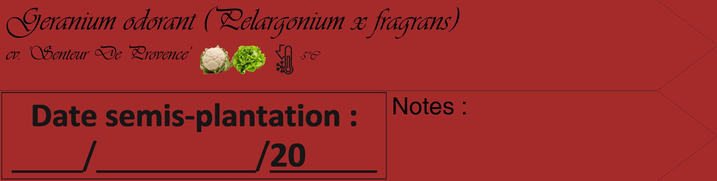 Étiquette de : Pelargonium x fragrans cv. 'Senteur De Provence' - format c - style noire33_simple_simpleviv avec comestibilité simplifiée