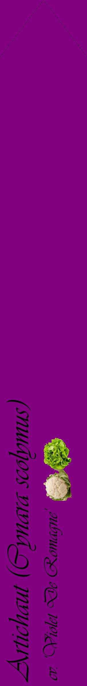 Étiquette de : Cynara scolymus cv. 'Violet De Romagne' - format c - style noire46_simpleviv avec comestibilité simplifiée