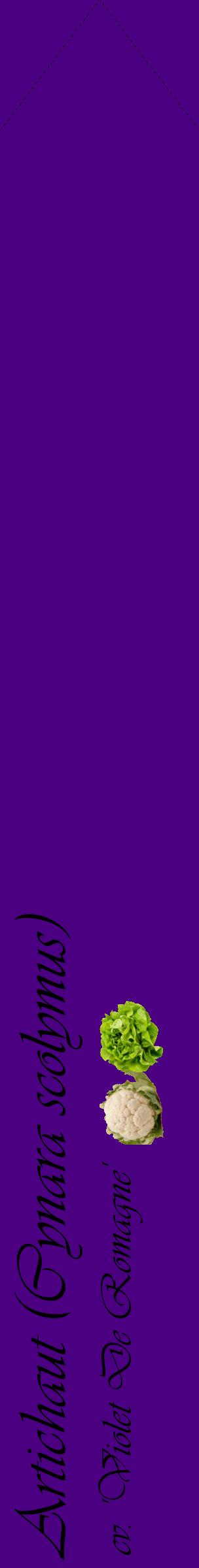 Étiquette de : Cynara scolymus cv. 'Violet De Romagne' - format c - style noire47_simpleviv avec comestibilité simplifiée