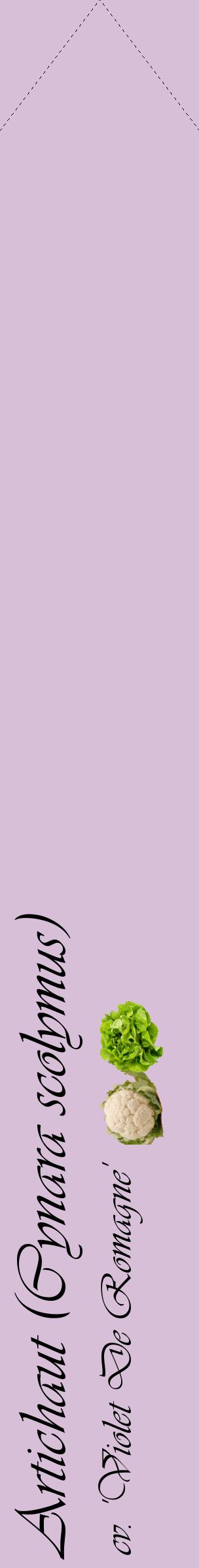 Étiquette de : Cynara scolymus cv. 'Violet De Romagne' - format c - style noire54_simpleviv avec comestibilité simplifiée