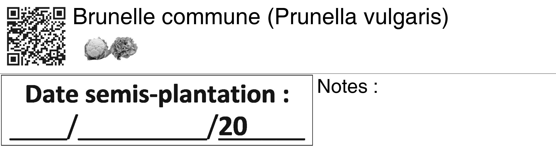 Étiquette de : Prunella vulgaris - format c - style noire60_basiquegrrvhel avec qrcode et comestibilité simplifiée
