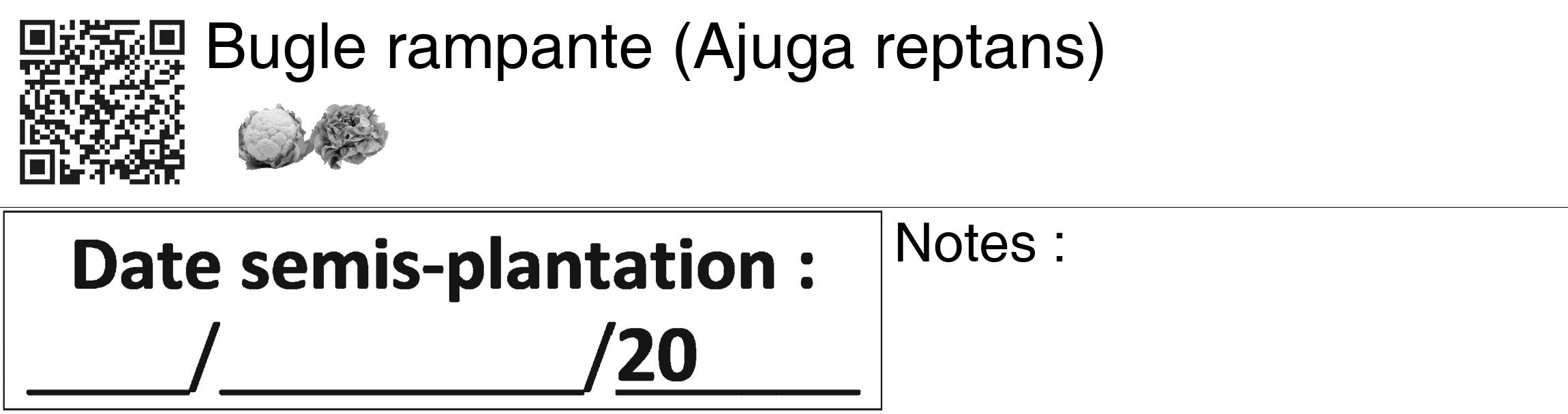 Étiquette de : Ajuga reptans - format c - style noire60_basiquegrrvhel avec qrcode et comestibilité simplifiée