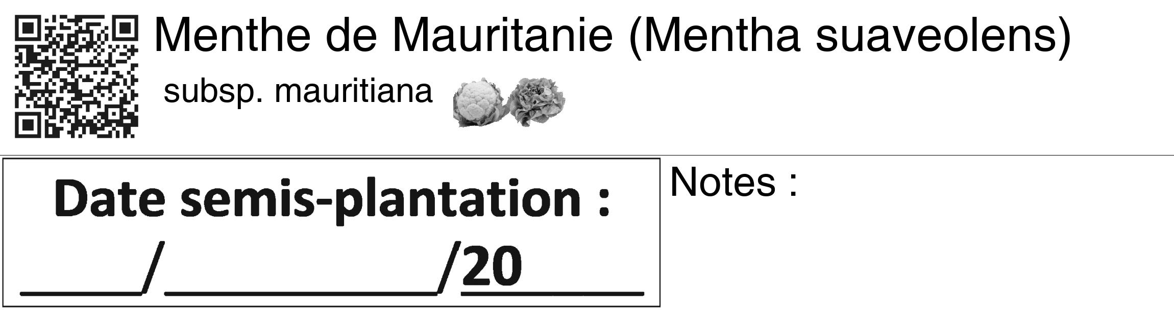 Étiquette de : Mentha suaveolens subsp. mauritiana - format c - style noire60_basiquegrrvhel avec qrcode et comestibilité simplifiée