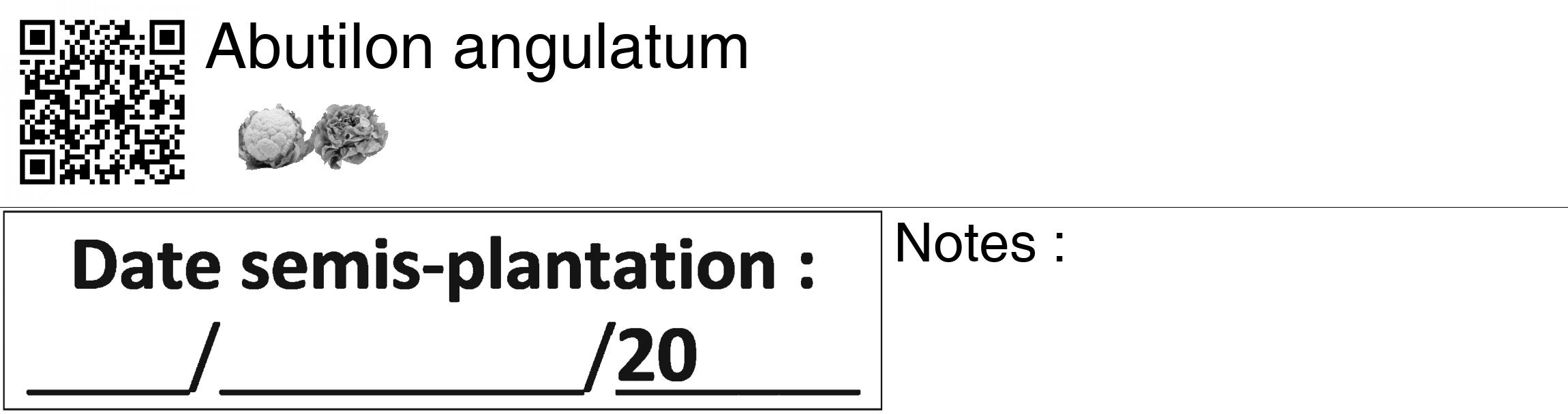 Étiquette de : Abutilon angulatum - format c - style noire60_basiquegrrvhel avec qrcode et comestibilité simplifiée