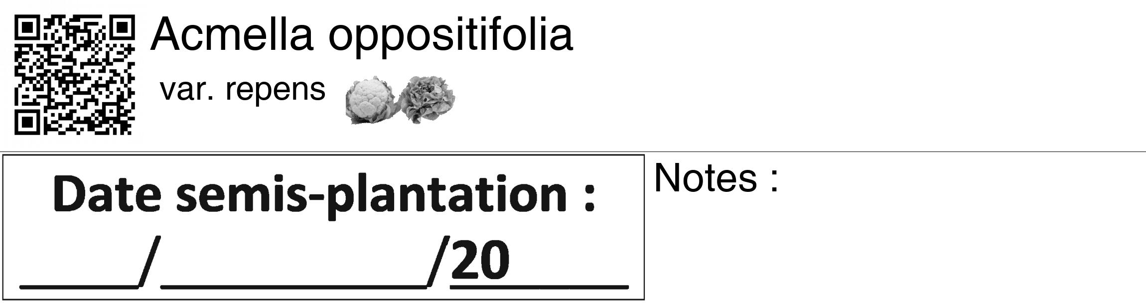 Étiquette de : Acmella oppositifolia var. repens - format c - style noire60_basiquegrrvhel avec qrcode et comestibilité simplifiée
