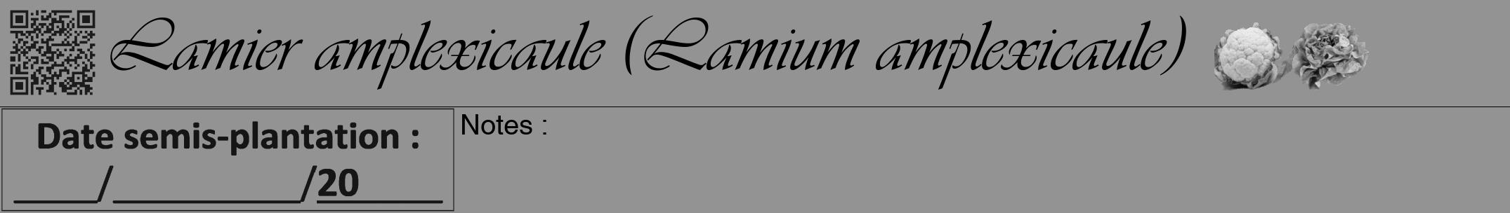 Étiquette de : Lamium amplexicaule - format a - style noire44simpleviv avec qrcode et comestibilité simplifiée