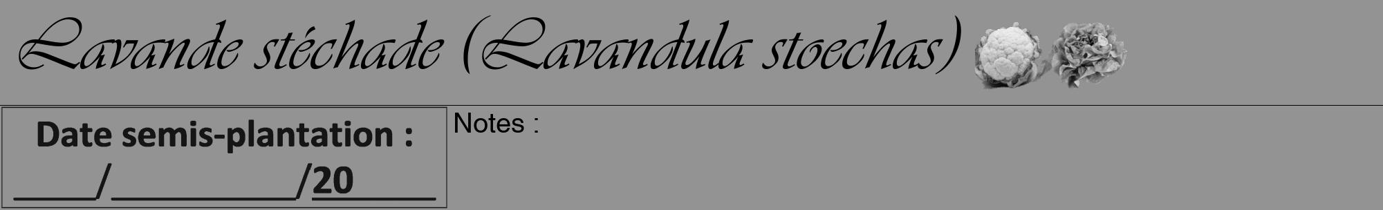 Étiquette de : Lavandula stoechas - format a - style noire44viv avec comestibilité simplifiée