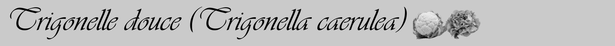 Étiquette de : Trigonella caerulea - format a - style noire21viv avec comestibilité simplifiée