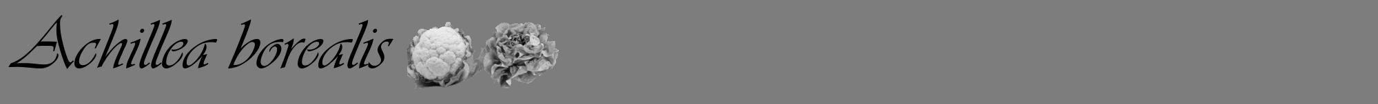 Étiquette de : Achillea borealis - format a - style noire35viv avec comestibilité simplifiée
