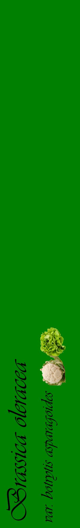 Étiquette de : Brassica oleracea var. botrytis asparagoides - format c - style noire9_basiqueviv avec comestibilité simplifiée