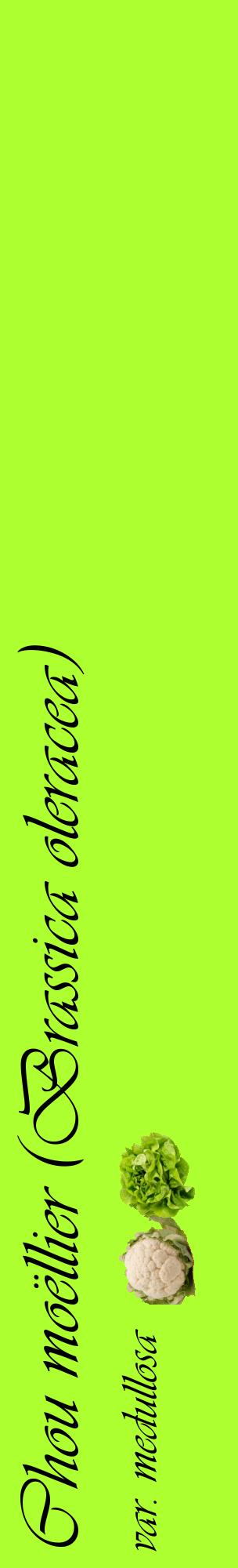 Étiquette de : Brassica oleracea var. medullosa - format c - style noire17_basiqueviv avec comestibilité simplifiée