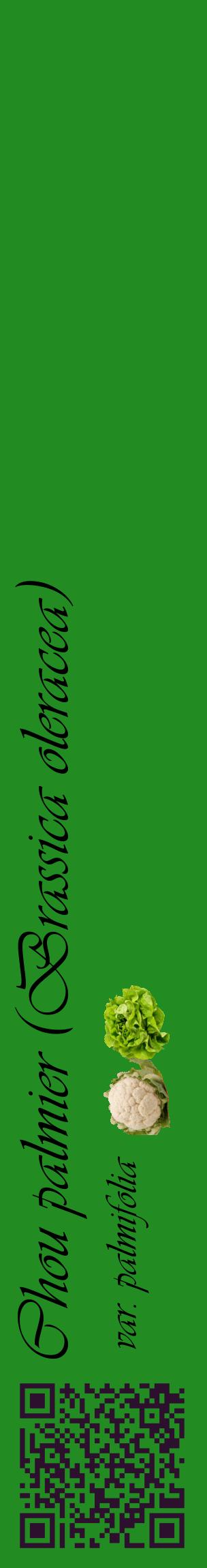 Étiquette de : Brassica oleracea var. palmifolia - format c - style noire10_basiqueviv avec qrcode et comestibilité simplifiée