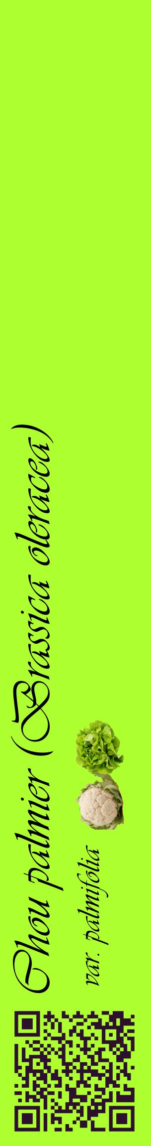 Étiquette de : Brassica oleracea var. palmifolia - format c - style noire17_basiqueviv avec qrcode et comestibilité simplifiée