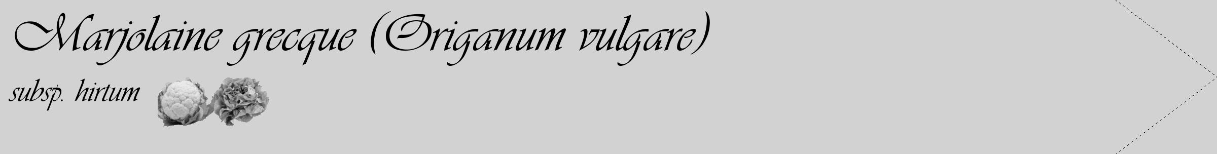 Étiquette de : Origanum vulgare subsp. hirtum - format c - style noire14_simple_simpleviv avec comestibilité simplifiée