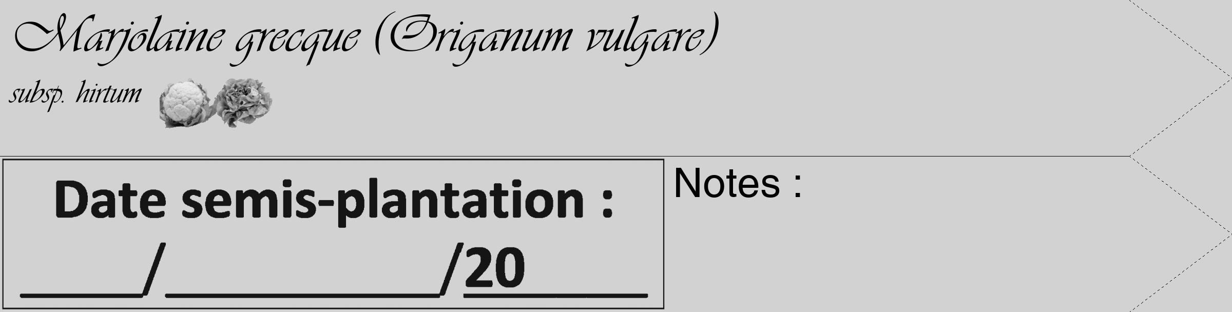 Étiquette de : Origanum vulgare subsp. hirtum - format c - style noire14_simple_simpleviv avec comestibilité simplifiée