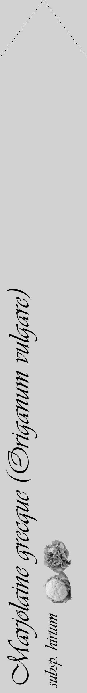 Étiquette de : Origanum vulgare subsp. hirtum - format c - style noire14_simple_simpleviv avec comestibilité simplifiée - position verticale