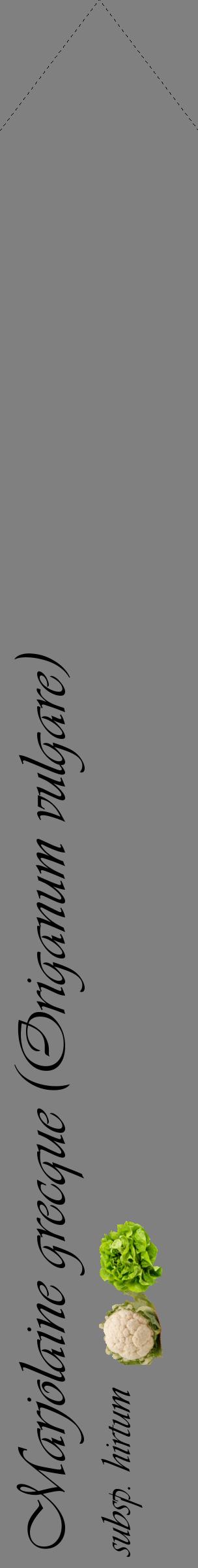 Étiquette de : Origanum vulgare subsp. hirtum - format c - style noire57_simpleviv avec comestibilité simplifiée