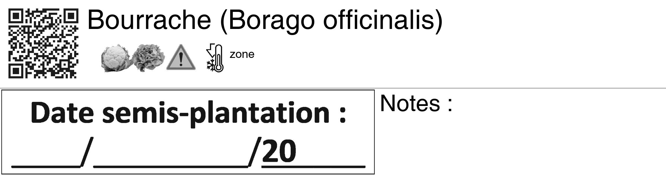 Étiquette de : Borago officinalis - format c - style noire60_basiquegrrvhel avec qrcode et comestibilité simplifiée