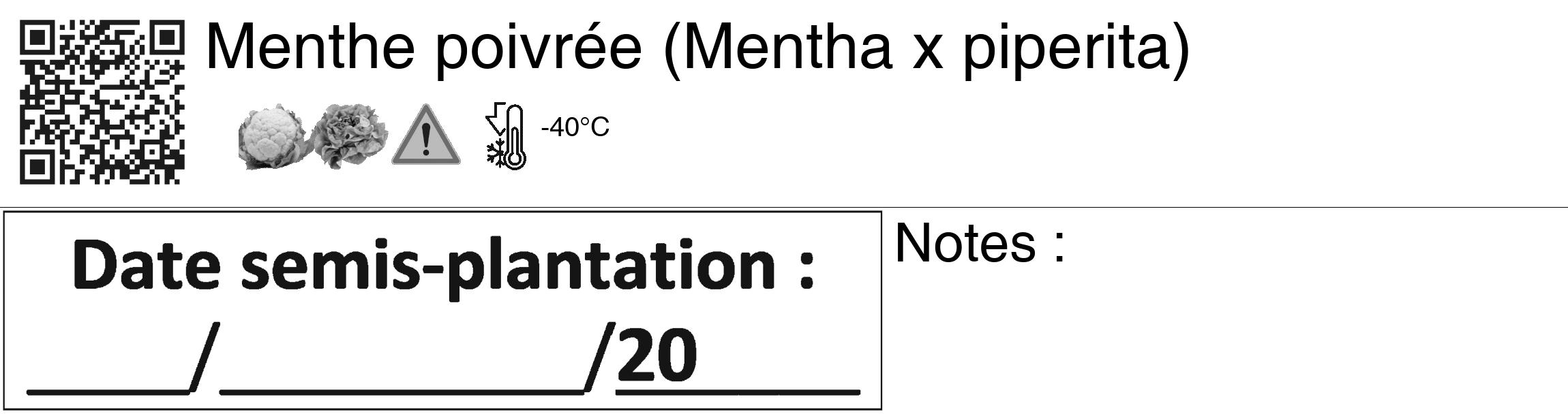 Étiquette de : Mentha x piperita - format c - style noire60_basiquegrrvhel avec qrcode et comestibilité simplifiée