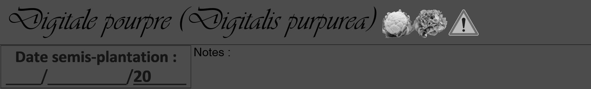 Étiquette de : Digitalis purpurea - format a - style noire27viv avec comestibilité simplifiée