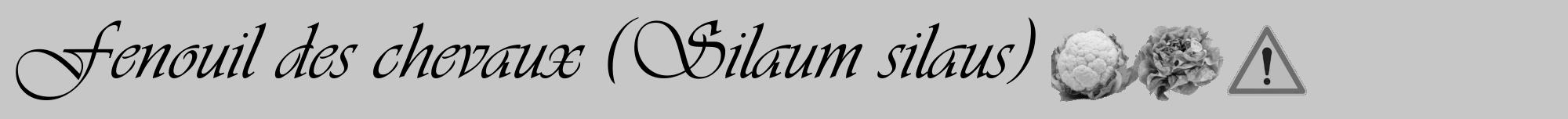 Étiquette de : Silaum silaus - format a - style noire15viv avec comestibilité simplifiée