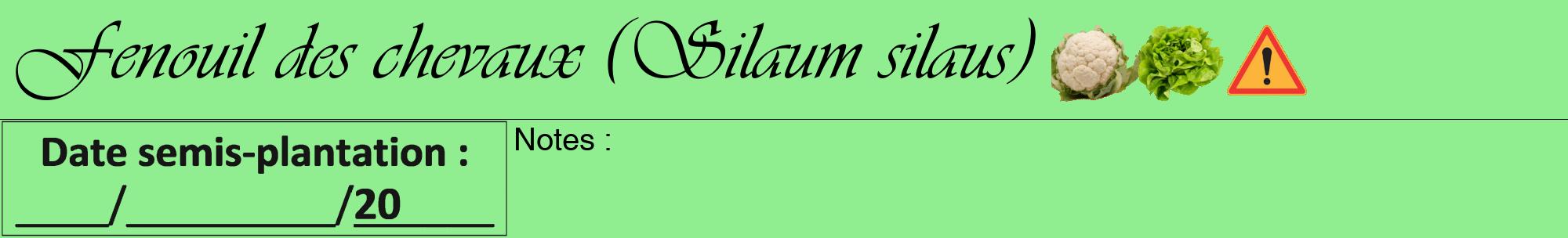 Étiquette de : Silaum silaus - format a - style noire15viv avec comestibilité simplifiée