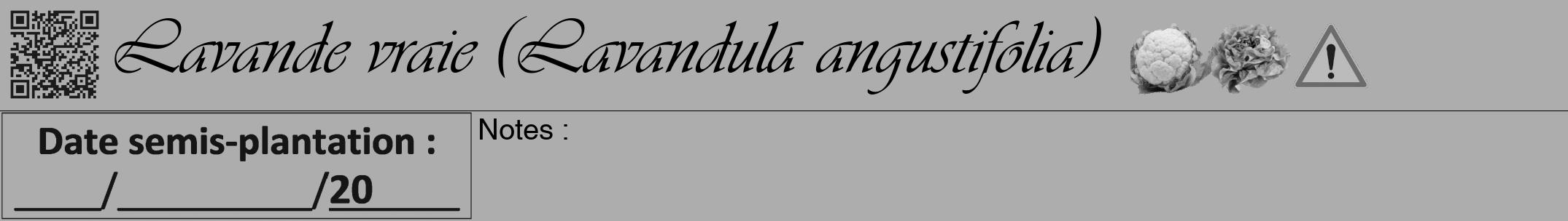 Étiquette de : Lavandula angustifolia - format a - style noire22viv avec qrcode et comestibilité simplifiée