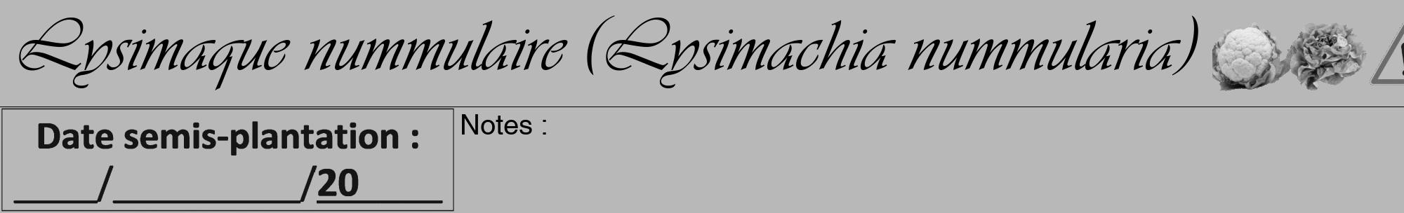 Étiquette de : Lysimachia nummularia - format a - style noire39viv avec comestibilité simplifiée