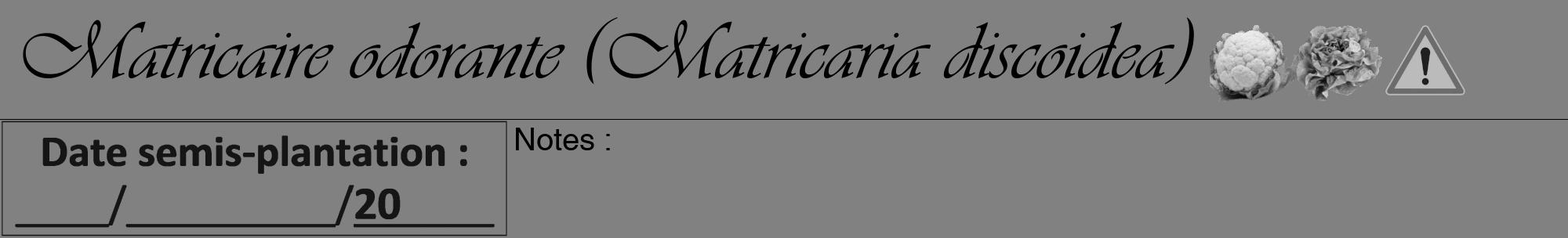 Étiquette de : Matricaria discoidea - format a - style noire50viv avec comestibilité simplifiée
