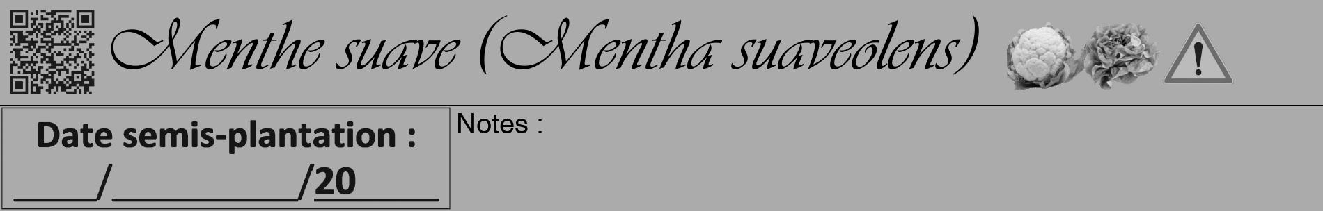 Étiquette de : Mentha suaveolens - format a - style noire37basiqueviv avec qrcode et comestibilité simplifiée