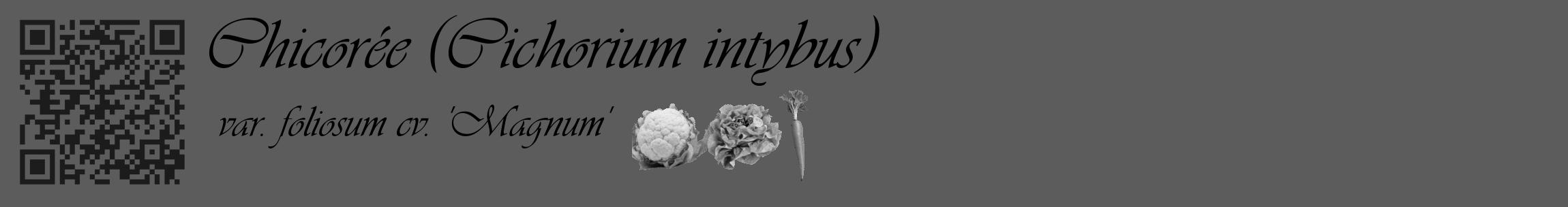 Étiquette de : Cichorium intybus var. foliosum cv. 'Magnum' - format c - style noire49_basique_basiqueviv avec qrcode et comestibilité simplifiée