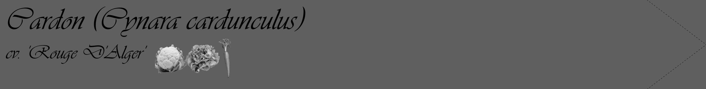 Étiquette de : Cynara cardunculus cv. 'Rouge D'Alger' - format c - style noire10_simple_simpleviv avec comestibilité simplifiée