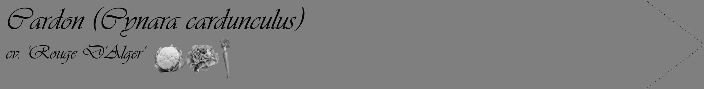 Étiquette de : Cynara cardunculus cv. 'Rouge D'Alger' - format c - style noire57_simple_simpleviv avec comestibilité simplifiée
