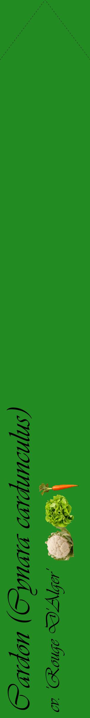 Étiquette de : Cynara cardunculus cv. 'Rouge D'Alger' - format c - style noire10_simpleviv avec comestibilité simplifiée