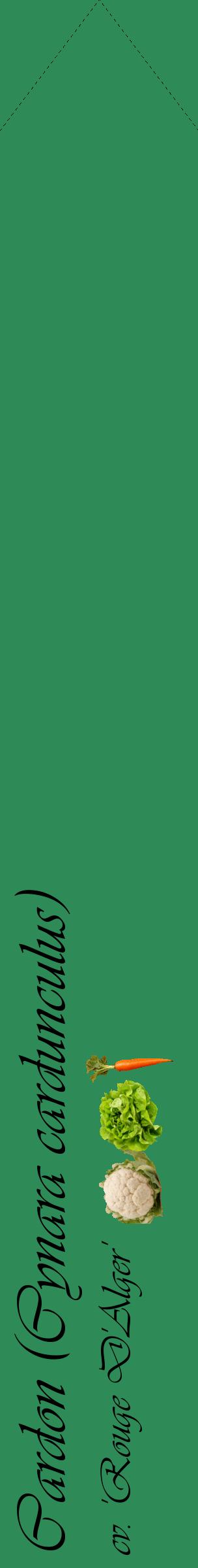 Étiquette de : Cynara cardunculus cv. 'Rouge D'Alger' - format c - style noire11_simpleviv avec comestibilité simplifiée