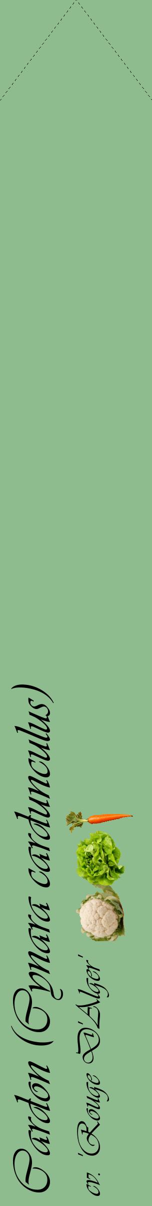 Étiquette de : Cynara cardunculus cv. 'Rouge D'Alger' - format c - style noire13_simpleviv avec comestibilité simplifiée