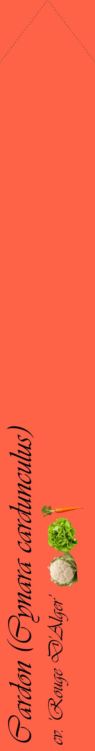 Étiquette de : Cynara cardunculus cv. 'Rouge D'Alger' - format c - style noire25_simpleviv avec comestibilité simplifiée