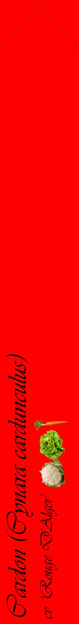Étiquette de : Cynara cardunculus cv. 'Rouge D'Alger' - format c - style noire27_simpleviv avec comestibilité simplifiée