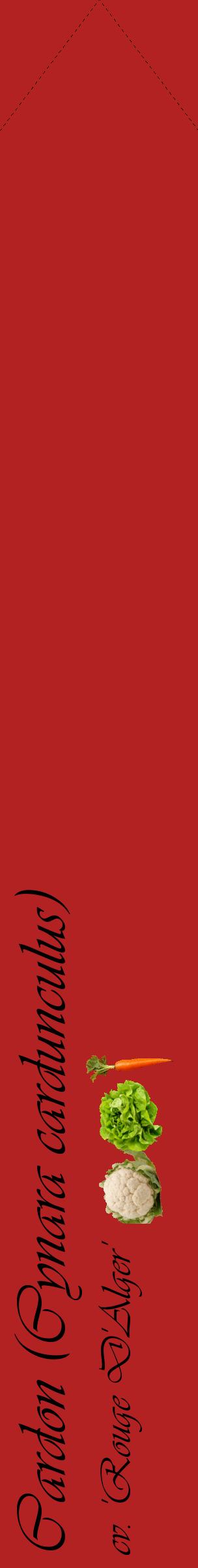 Étiquette de : Cynara cardunculus cv. 'Rouge D'Alger' - format c - style noire28_simpleviv avec comestibilité simplifiée