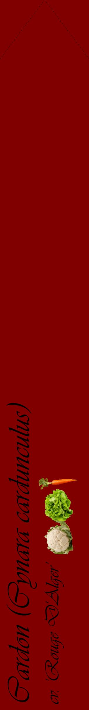 Étiquette de : Cynara cardunculus cv. 'Rouge D'Alger' - format c - style noire29_simpleviv avec comestibilité simplifiée